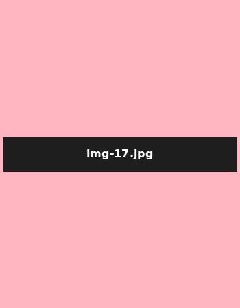 ahmedabad escort service
