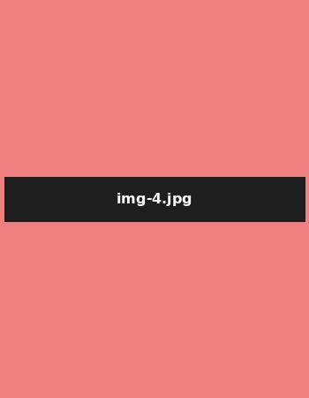 ahmedabad escort service