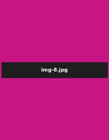 ahmedabad escort service